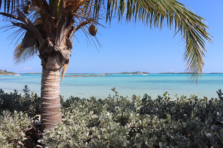 Beach 219 of 232