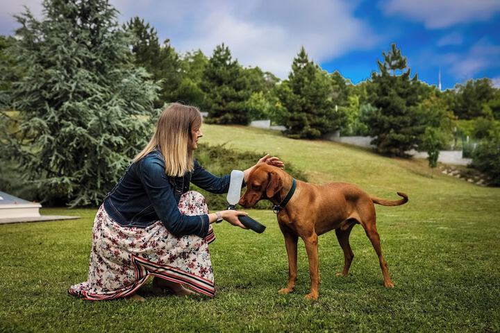 Pet Friendly 41 of 61