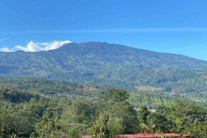 Hotel Green Mountain Turrialba