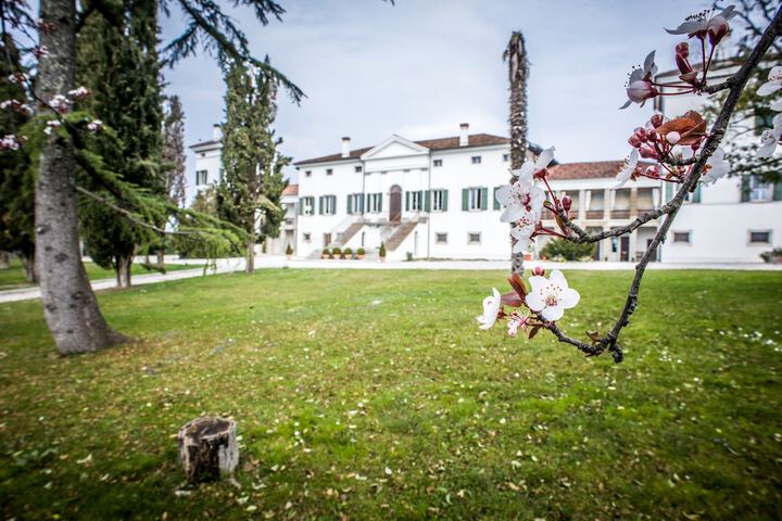 Villa Dragoni in Buttrio
