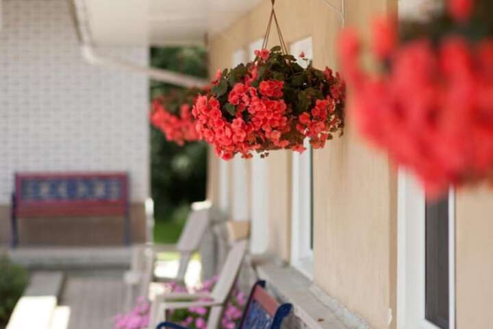 Terrace/Patio 15 of 38