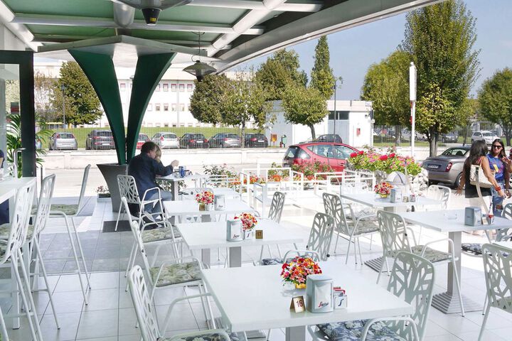 Terrace or Patio