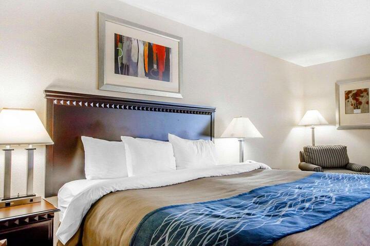 1 King Bed (2 of 9)