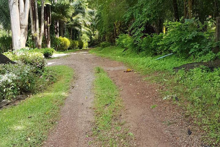 Property Grounds 23 of 34