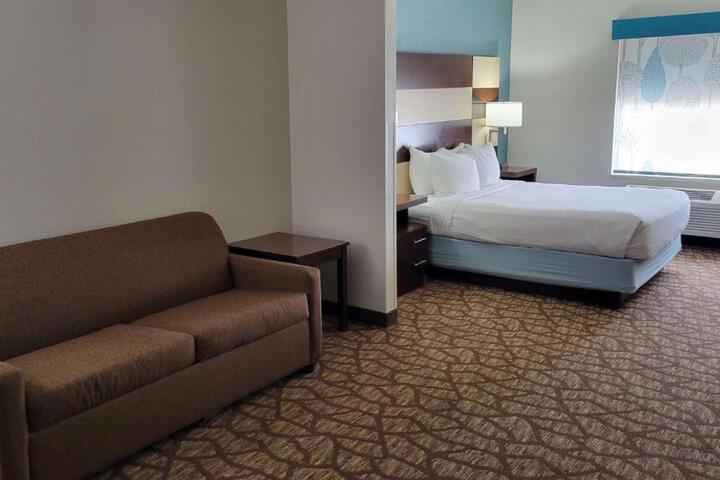 Suite 1 Queen Bed Sofa Bed Microwave and Refrigerator High Speed Internet Accessible Shower Only Full Breakfast (7 of 18)