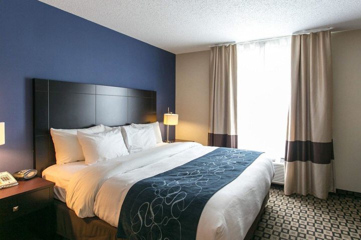 1 King Bed Accessible (1 of 8)