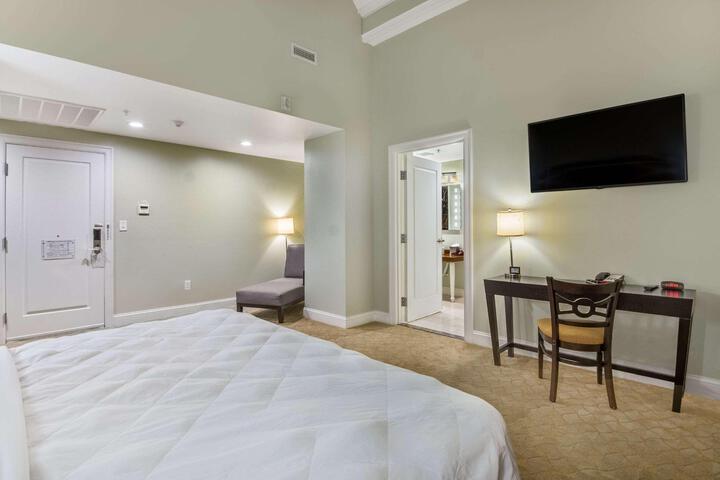 1 King Bed Accessible (8 of 24)