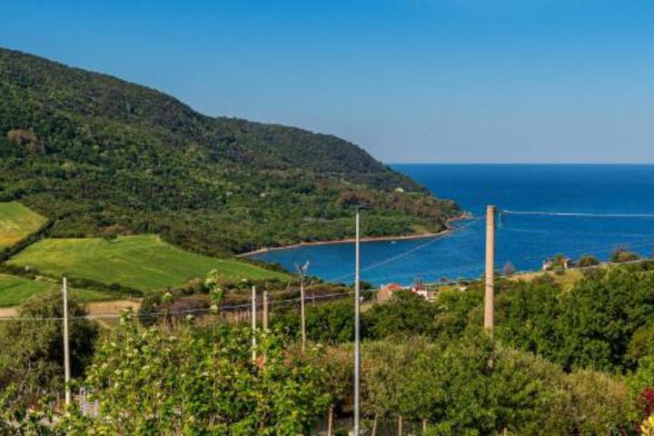 Casevacanza Trentovamare