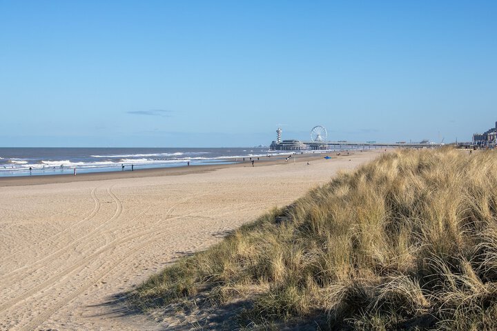 Beach 37 of 41