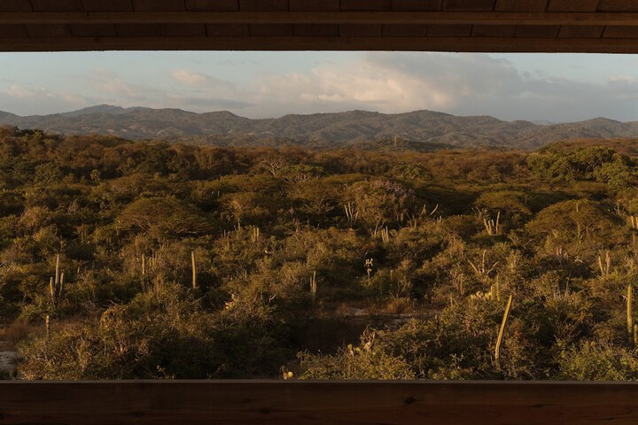 Terrestre a Member of Design Hotels in Villa de Tututepec de Melchor Ocampo