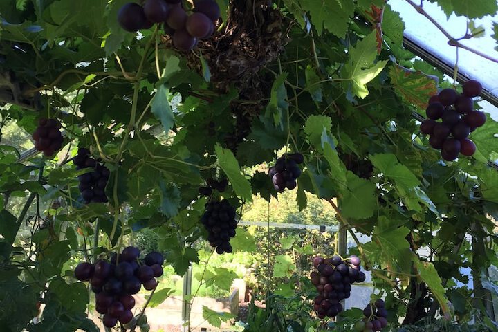 Hotel Exterior 28 of 40