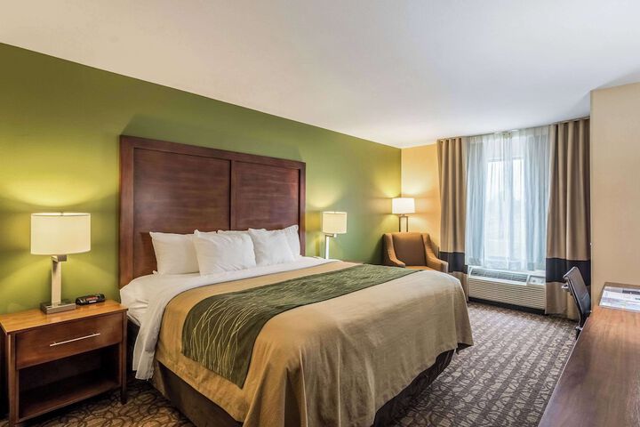 Standard | King Bed (1 of 13)