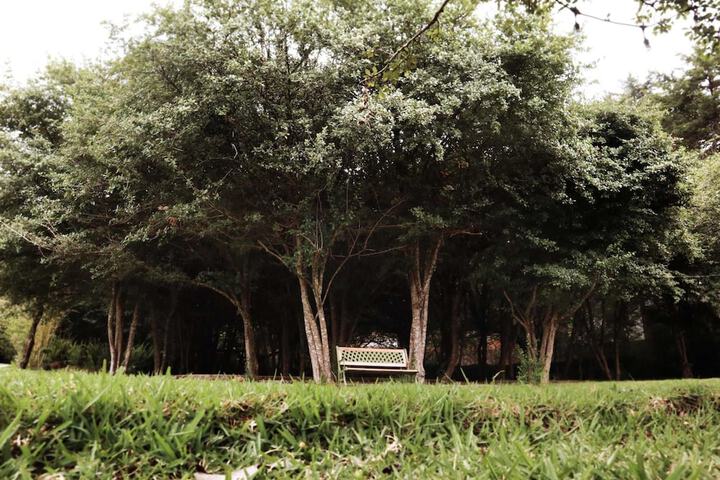 Property Grounds 29 of 43