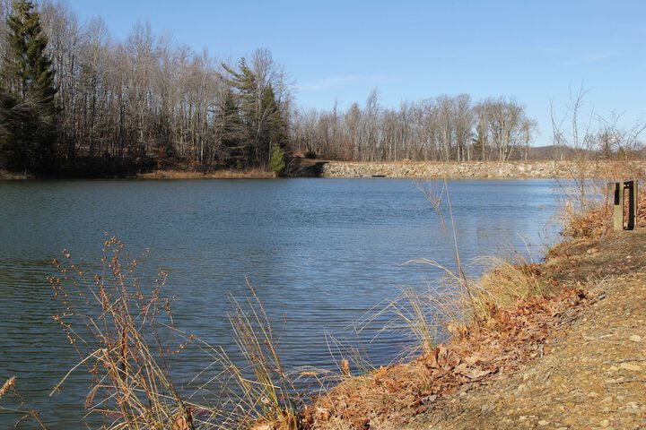 Property Grounds 86 of 100