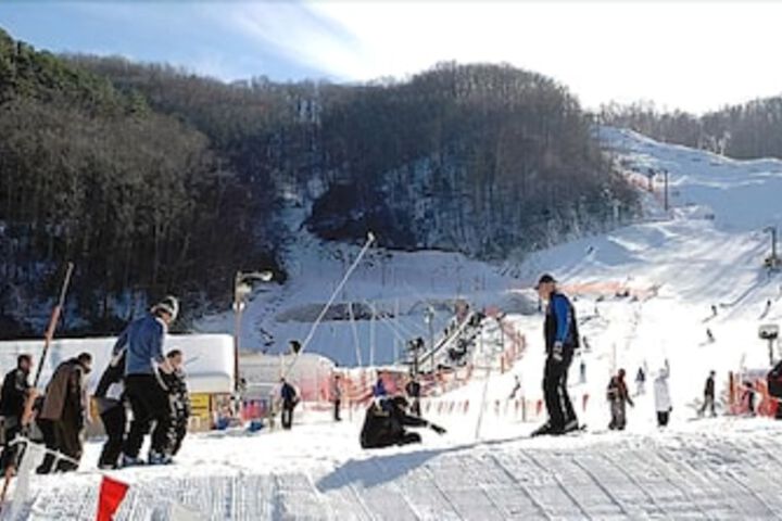 Photo 5