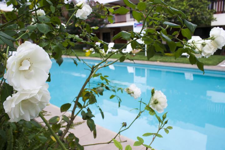 Hotel Pool