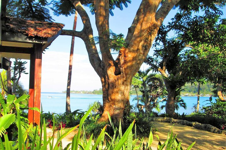 View from room