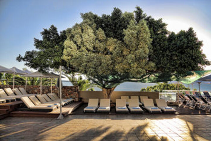Terrace/Patio 104 of 119