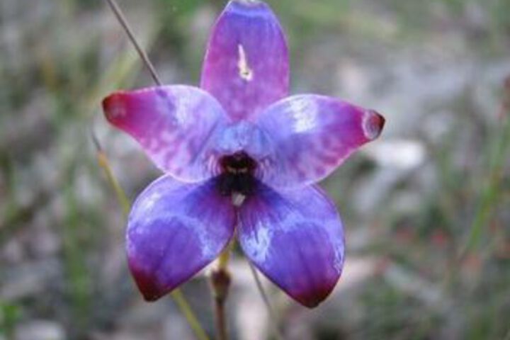 Hotel Exterior 35 of 111