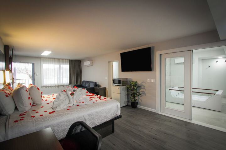1 King Bed Pet Friendly Accessible (68 of 90)