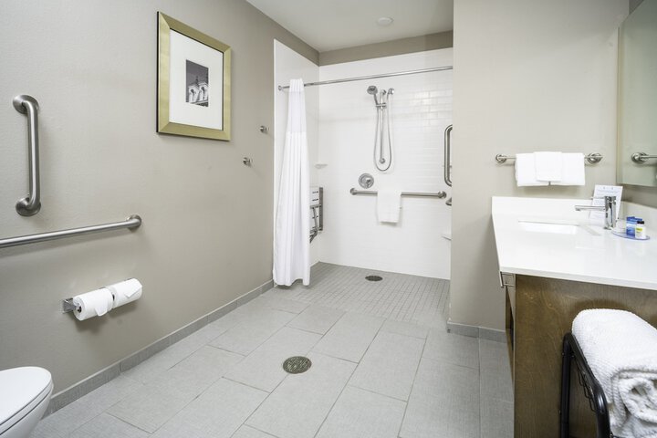 1 King Studio Suite Mobility Accessible Tub (22 of 28)