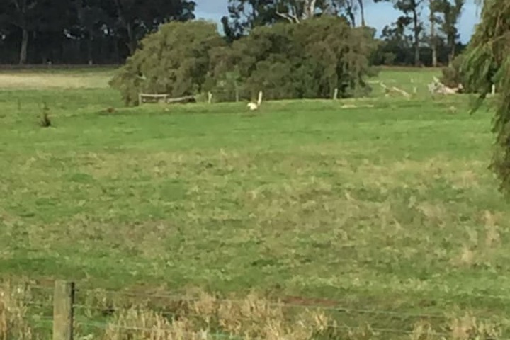 Hotel Exterior 57 of 62