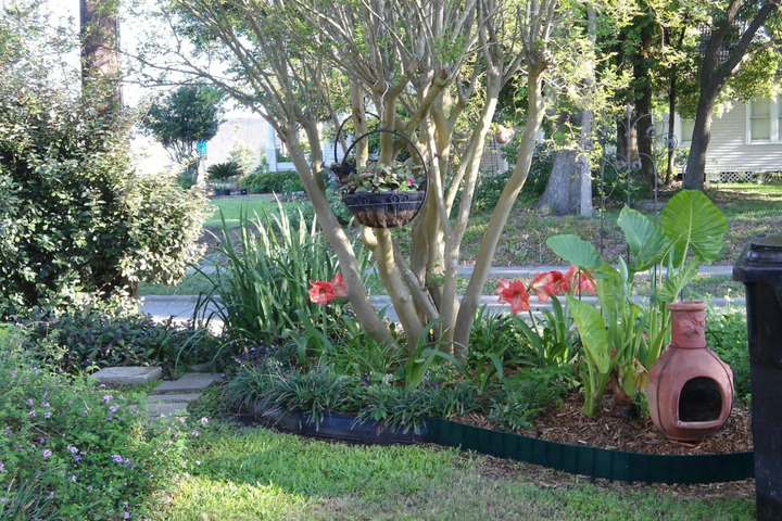 Photo 16