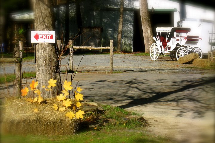 Property Grounds 40 of 55