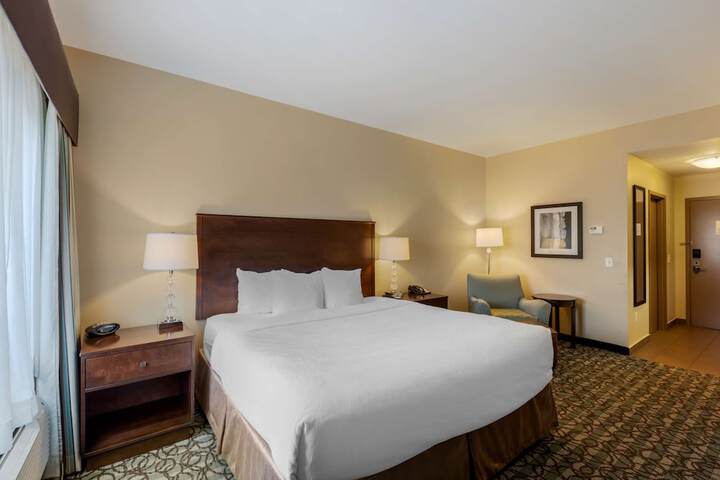 1 King Bed Pet Friendly (4 of 16)