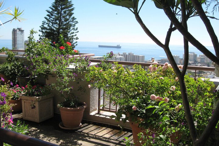 Terrace/Patio 23 of 26