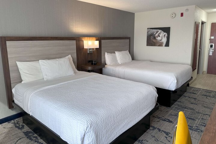 2 Double Beds Pet Friendly Room (3 of 9)