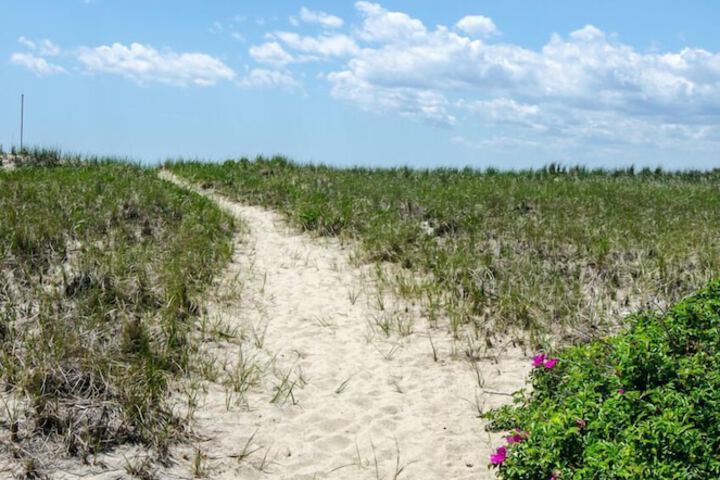 Beach 49 of 55