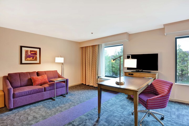 1 King with Sofa Bed Microwave, Refrigerator (1 of 32)