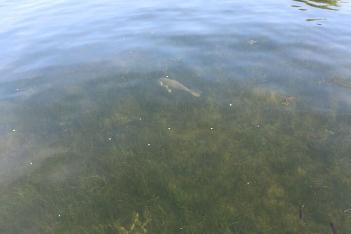 Property Grounds 83 of 101