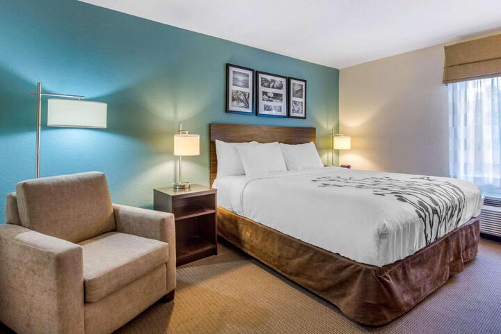 1 King Bed (13 of 18)