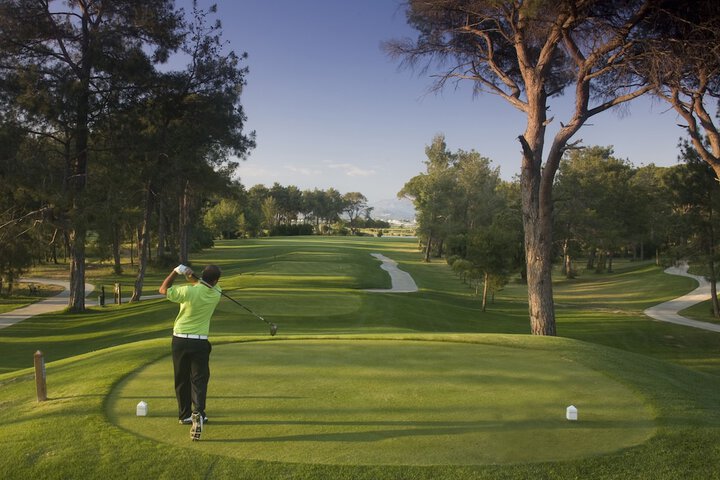Golf 205 of 336