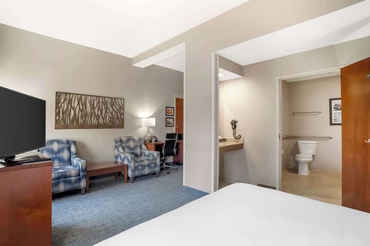1 King Bed Suite (8 of 21)