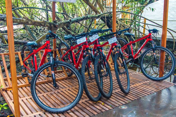 Outdoor Activities 94 of 157