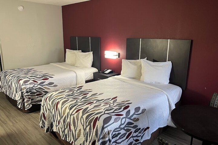 Superior 2 Double Beds (2 of 6)
