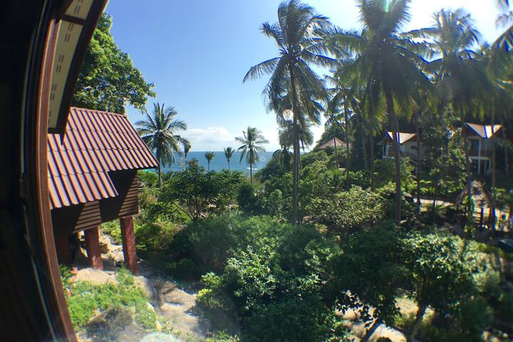 View from room