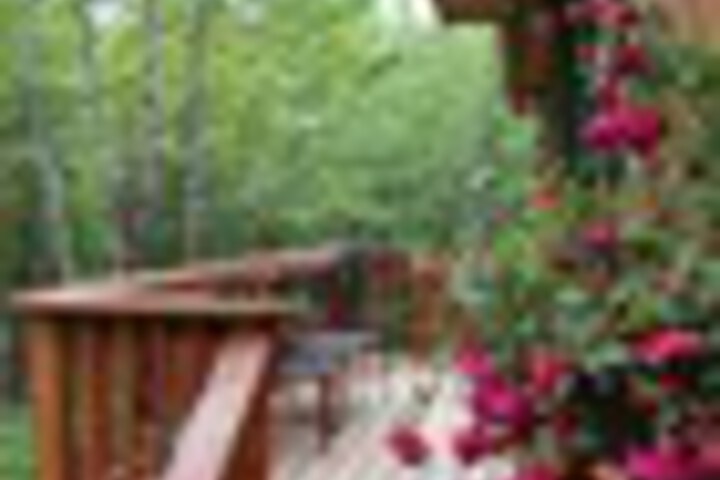 Terrace/Patio 110 of 279