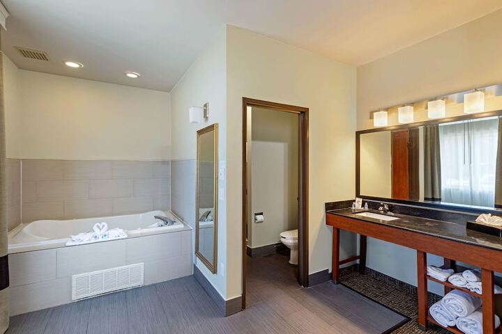 1 King Bed Suite (19 of 44)