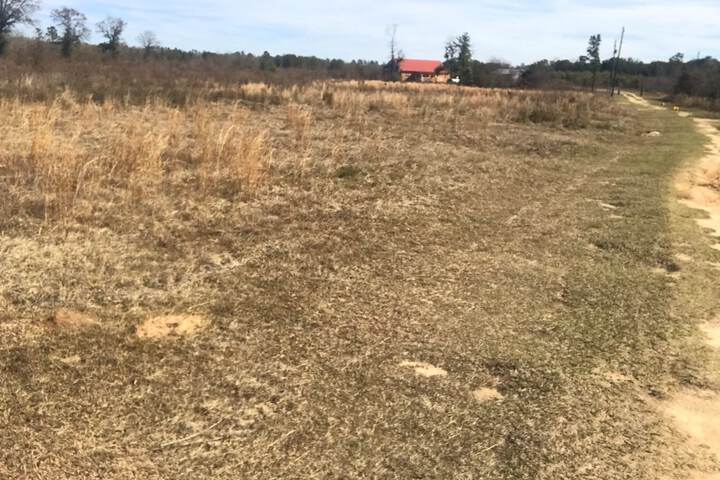 Property Grounds 17 of 20