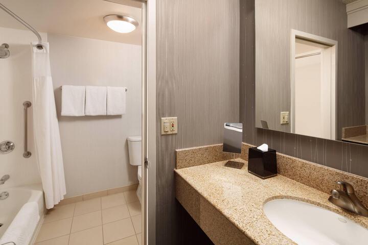 Deluxe King Balcony Hearing Accessible (13 of 16)