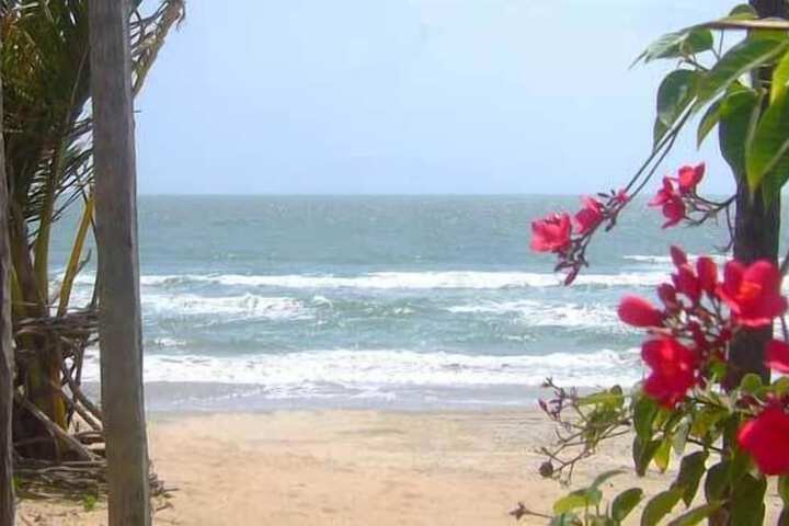 Beach 10 of 12
