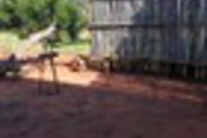 Property Grounds 41 of 45