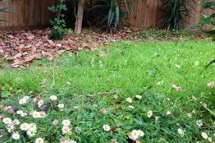 Hotel Exterior 5 of 18