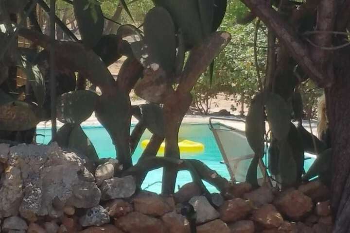 Pool 14 of 27