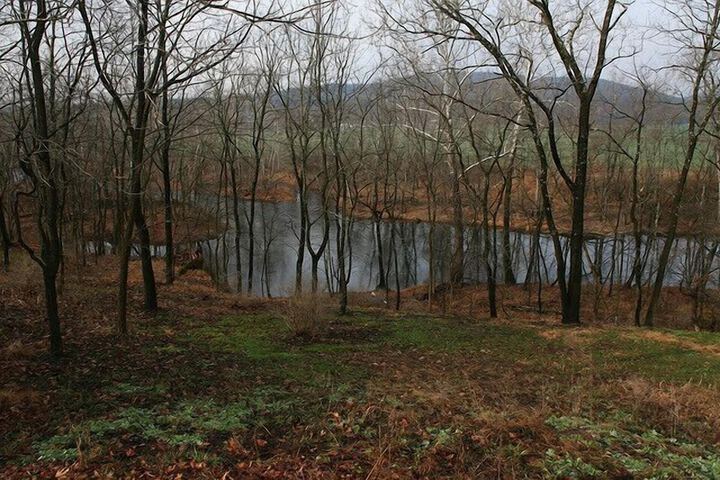 Property Grounds 24 of 28