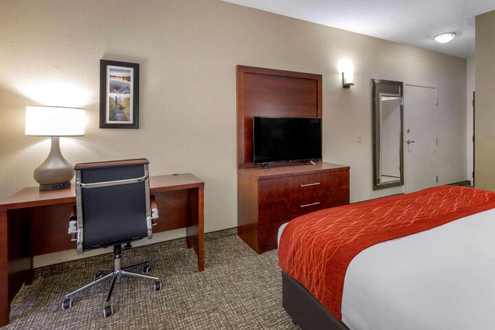1 King Bed Accessible (3 of 17)